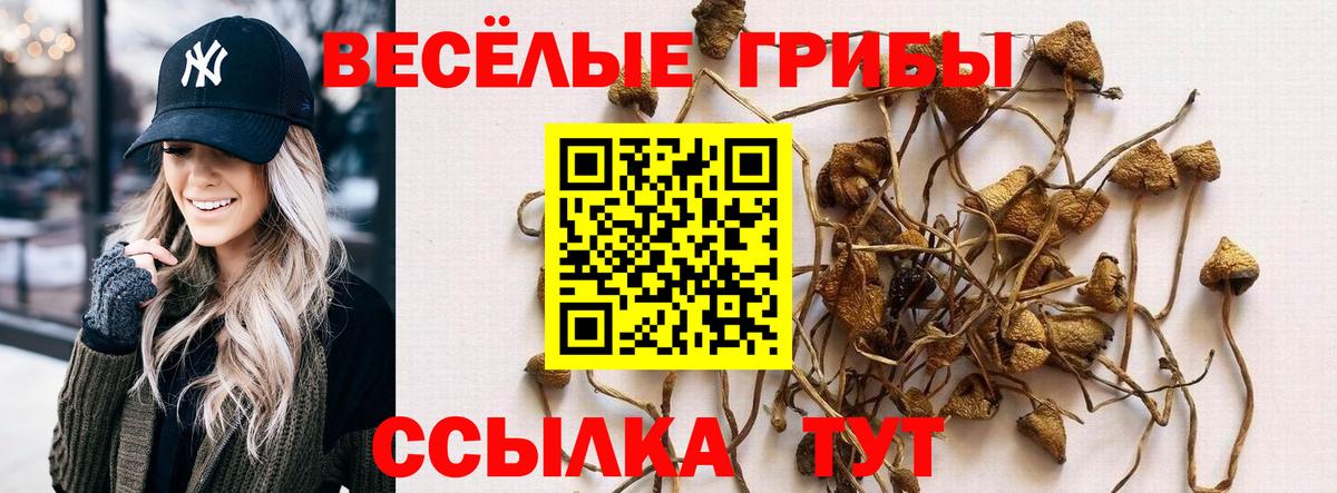 Псилоцибиновые грибы ЛСД  Вход с VPN  Лысьва  Галлюциногенные грибы MAGIC MUSHROOMS 