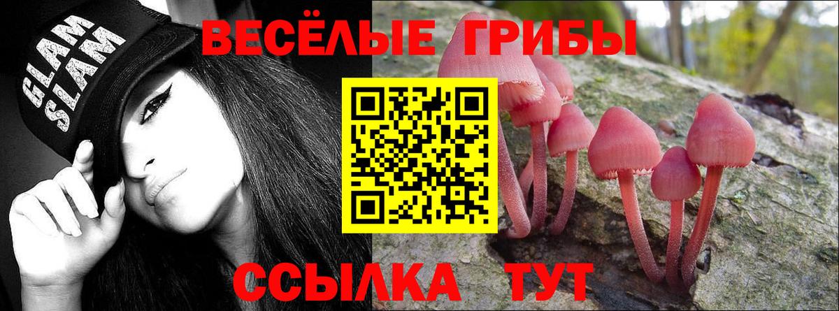 Галлюциногенные грибы прущие грибы Лысьва